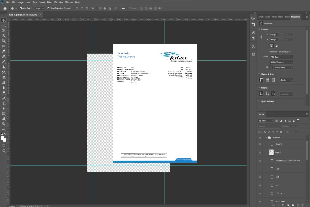 Modèle Word et PDF de licence commerciale des Émirats arabes unis à Dubaï, version 3 template
